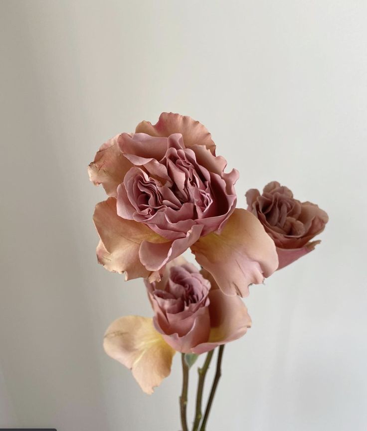 three pink flowers in a vase on a table