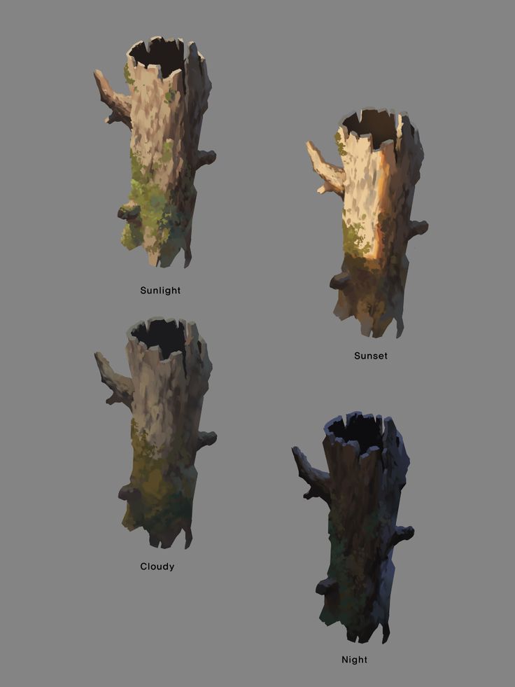 four different types of tree stumps are shown in this image, and there is no image to describe