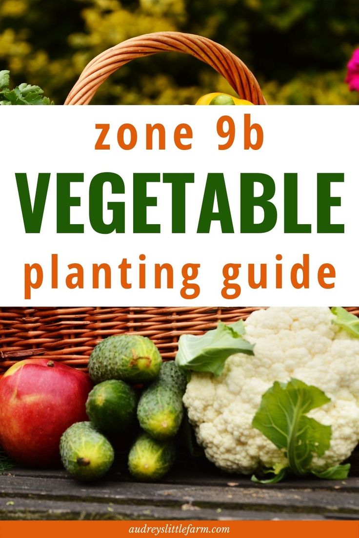 a basket full of vegetables sitting on top of a wooden table with text overlay reading zone 9b vegetable planting guide