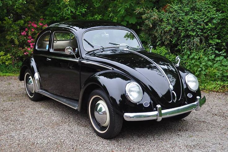 an old black beetle parked in front of some bushes