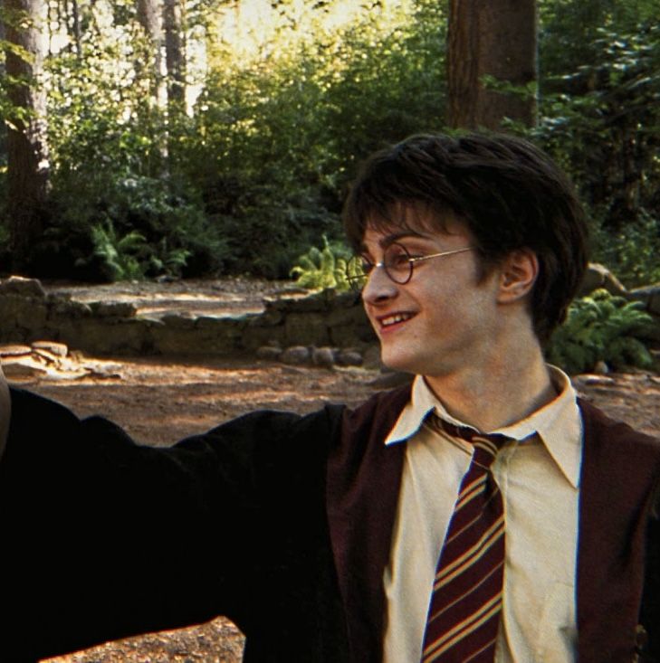 two young men dressed in harry potter outfits, one pointing at the camera while the other holds his arm out