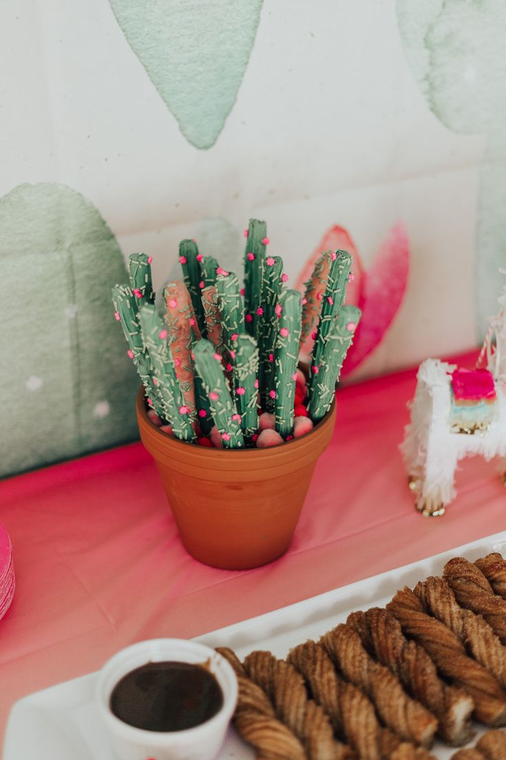 a table topped with cookies next to a potted cactus