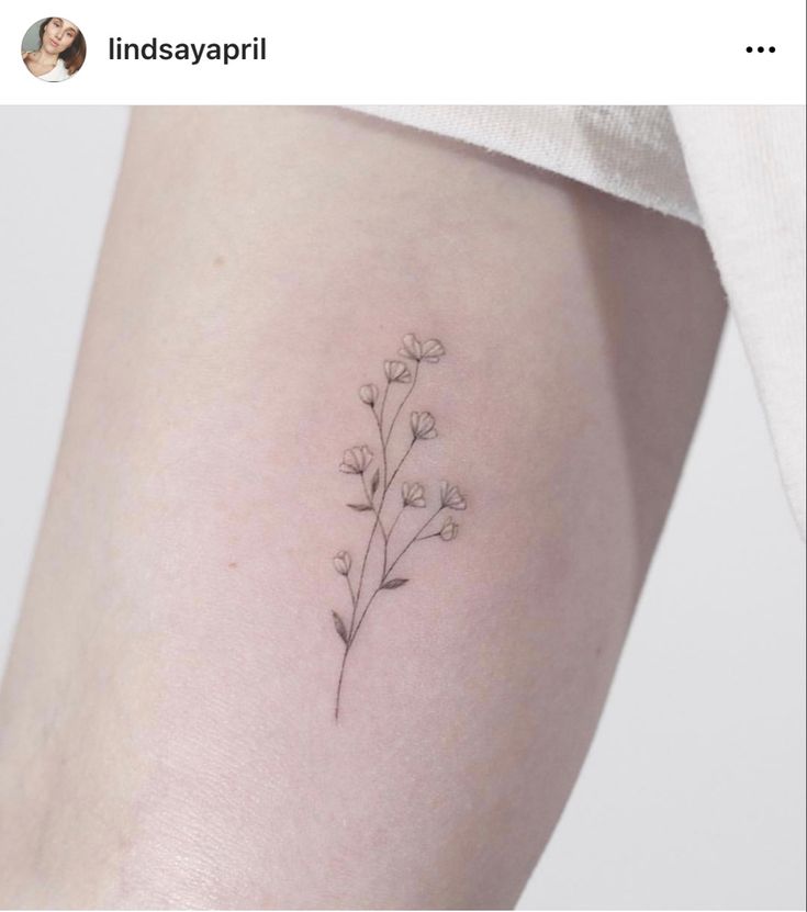 Baby Breath Bouquet Tattoo, Baby Breath Flower Tattoo, Gypsophila Tattoo, Small Flowers Tattoo, Baby Breath Tattoo, Breath Tattoo, Dainty Flower Tattoos, Books Edits, Minimalistic Tattoos