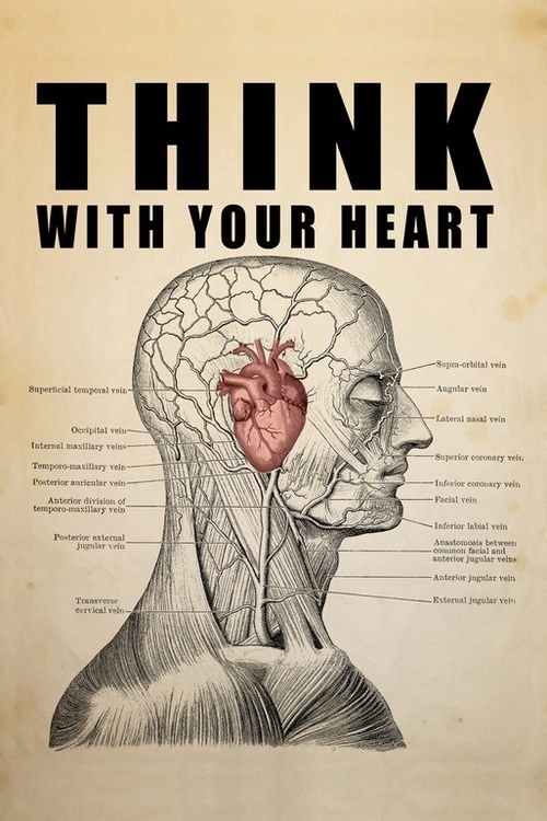 an old poster with the head and neck labeled in spanish