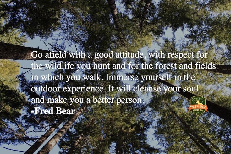 a forest with tall pine trees and a quote from the author on it that says, go afraid with a good attitude, with respect for wildlife