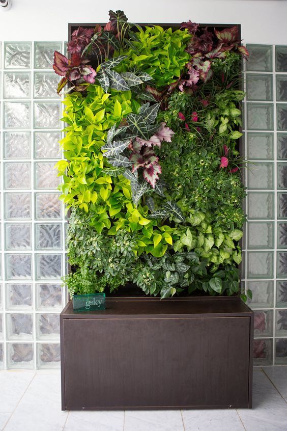 a living wall with plants growing on it's sides in front of a tiled wall