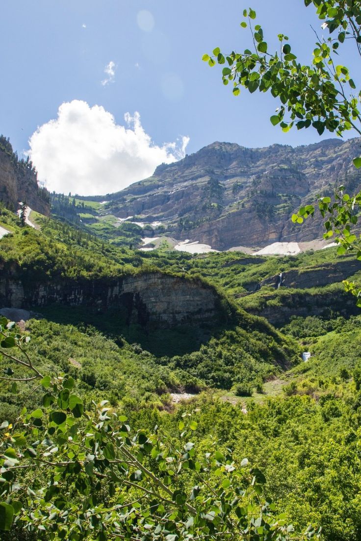 the mountains are covered in lush green vegetation