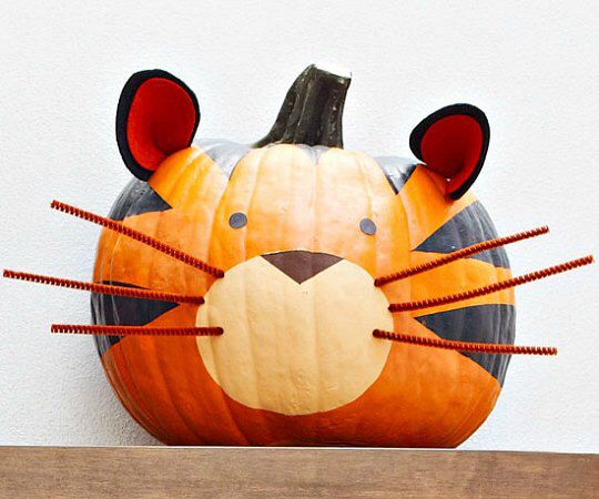 a cat pumpkin sitting on top of a wooden shelf