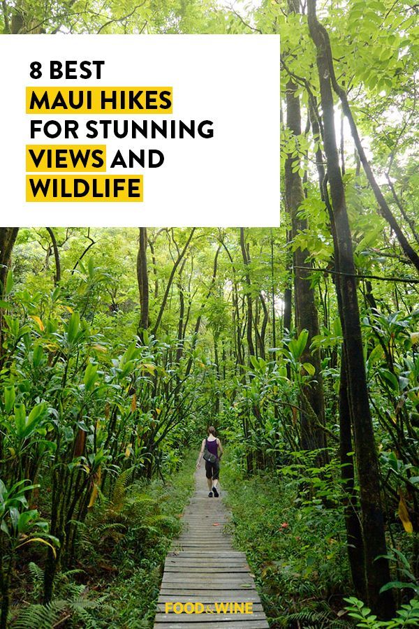 a person walking down a wooden walkway in the woods with text overlay that reads 8 best mau hikes for stunning views and wildlife