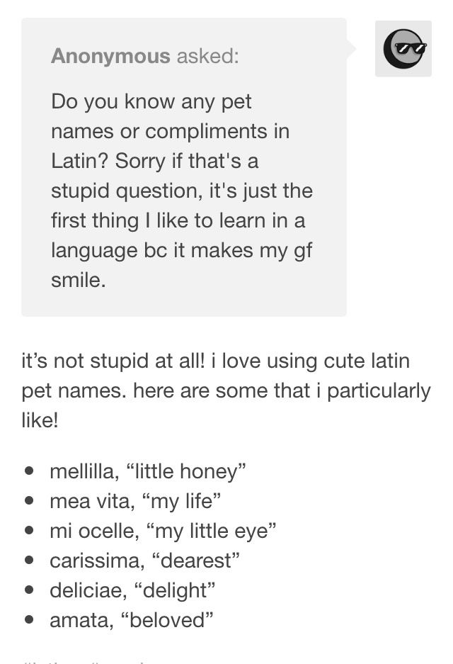 I’m a nerd and I took latin, I shoulda thought of this. Writing prompt useful for writing Sweet French Nicknames, Pet Names In Latin, Latin Pet Names For Girlfriend, Latin Love Words, Beautiful Latin Phrases About Love, Latin Nicknames For Girlfriend, Cute Nicknames For Partner, Latin Phrases For Love, Sweet Pet Names For Girlfriend