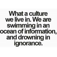 a quote that reads, what a culture we live in we are swimming in an ocean of