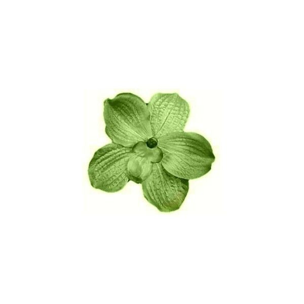 a green flower on a white background with no image in the bottom right hand corner