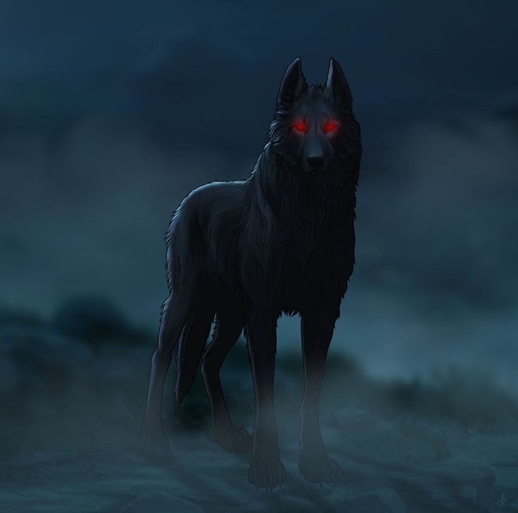 a black wolf with red eyes standing in the fog