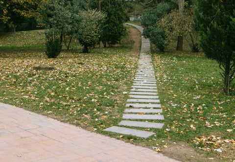 there is a path made out of stepping stones in the grass next to some trees