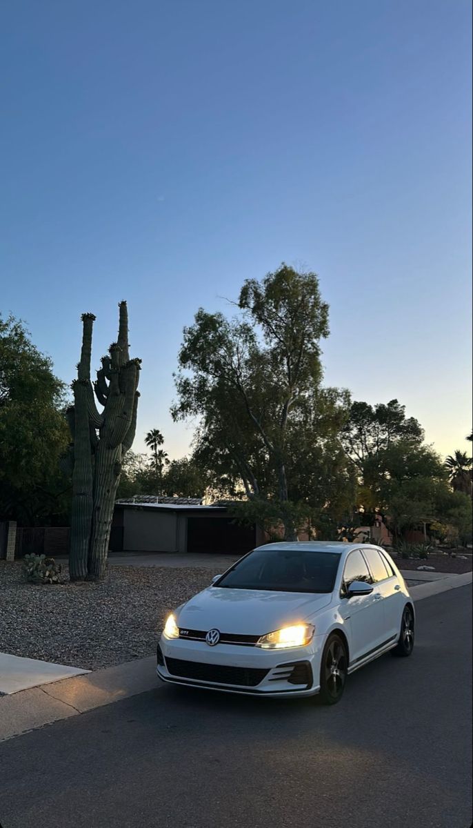 a white car driving down a street next to a tall cactus tree in the background