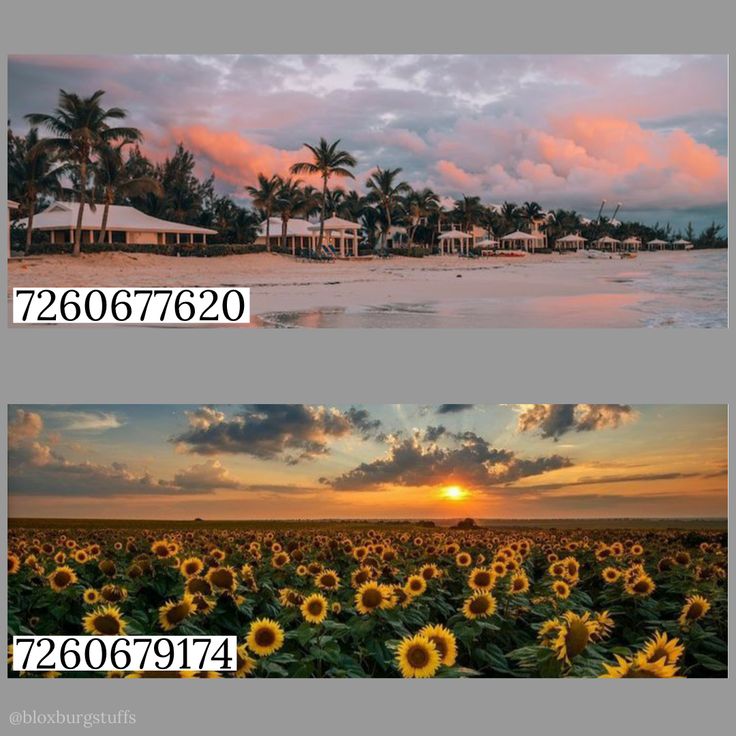 two pictures with the same sky and sunflowers in front of them, one is sunset