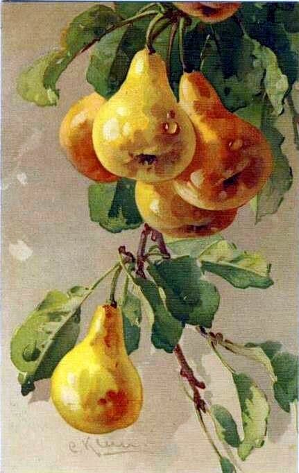 a painting of pears hanging from a tree branch