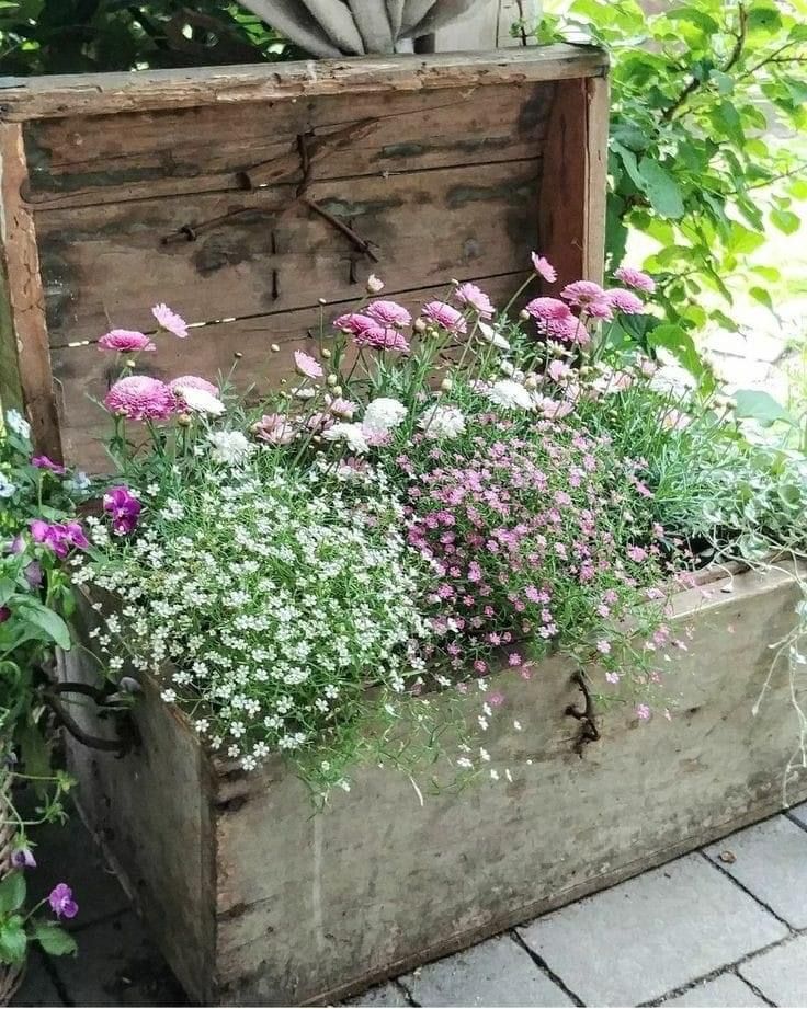 an old trunk is filled with flowers and greenery for the garden to grow in