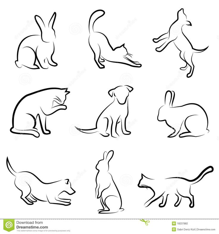 the silhouettes of cats and dogs