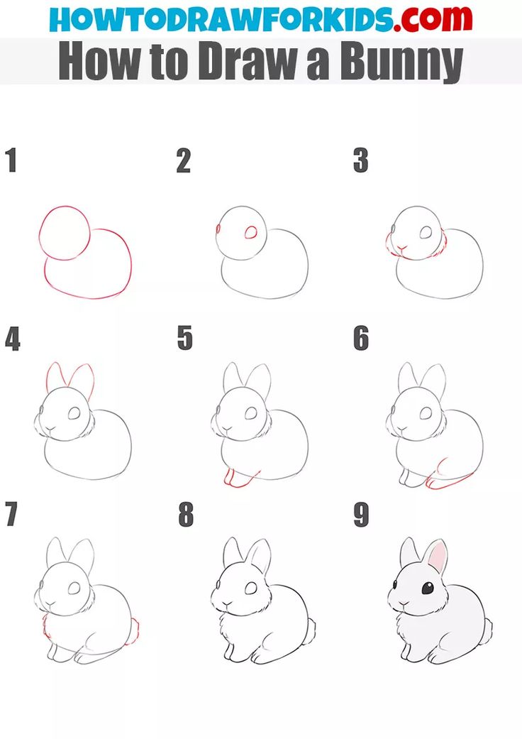 how to draw a bunny step by step instructions for kids and beginners in this video, you can learn how to draw a rabbit