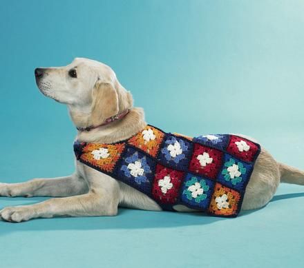 a white dog wearing a sweater with flowers on it's chest and collar laying down