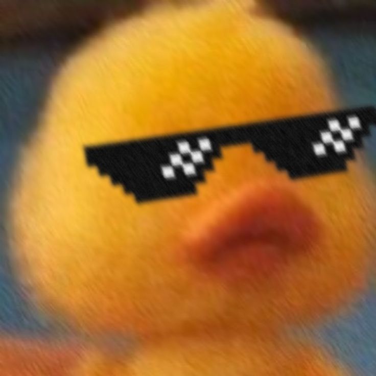 an image of a duck with sunglasses on