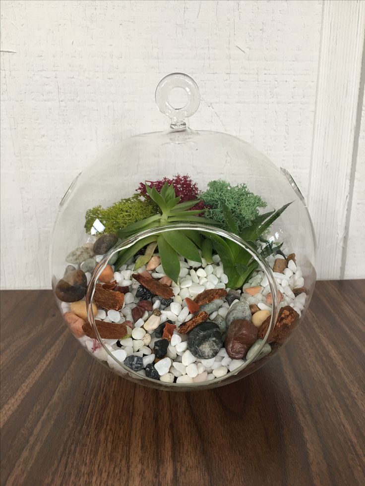 a glass bowl filled with rocks and plants