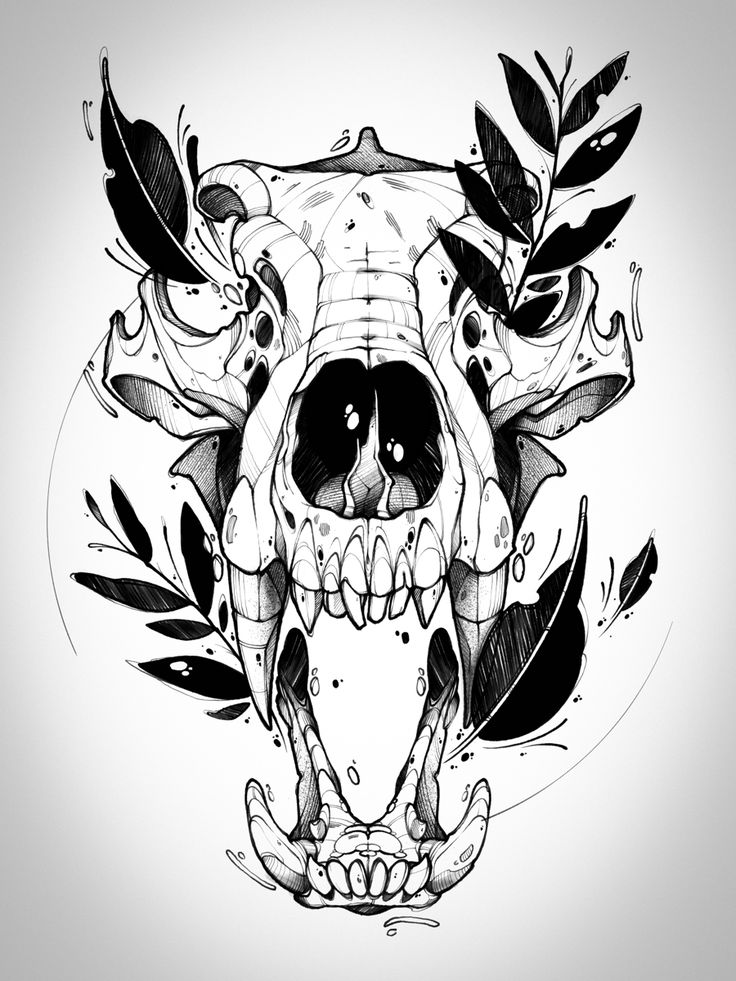 a black and white drawing of a skull with feathers on it's head, surrounded by leaves