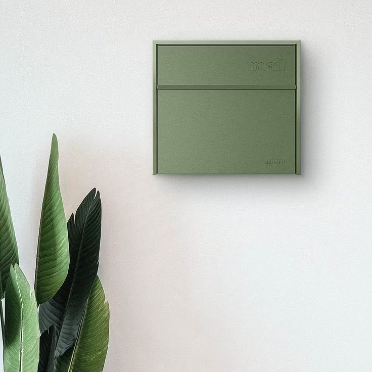 a green plant next to a white wall with a light switch on the wall above it