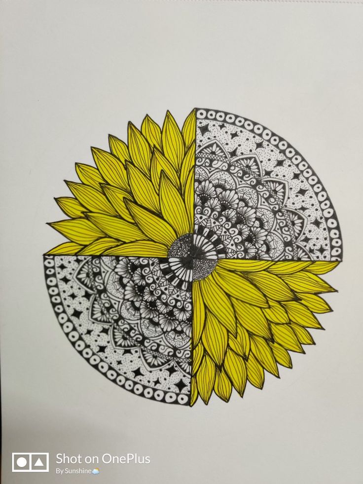 a drawing of a yellow sunflower on a white paper with black and white border