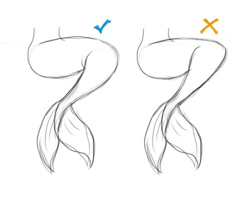 how to draw fish tails for beginners