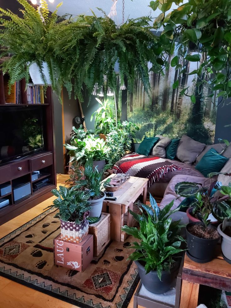 a living room filled with lots of plants and furniture