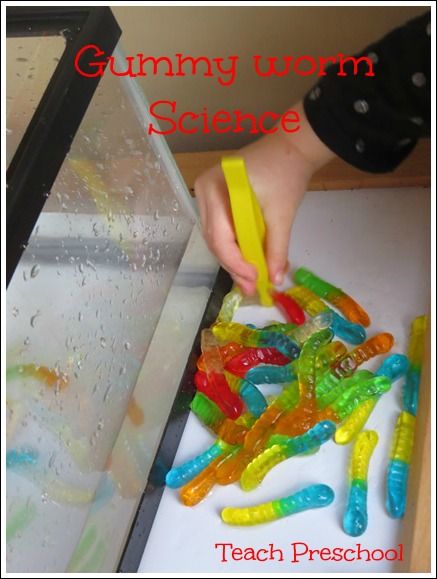 a child is playing with gummy worms in the science lab at school or home