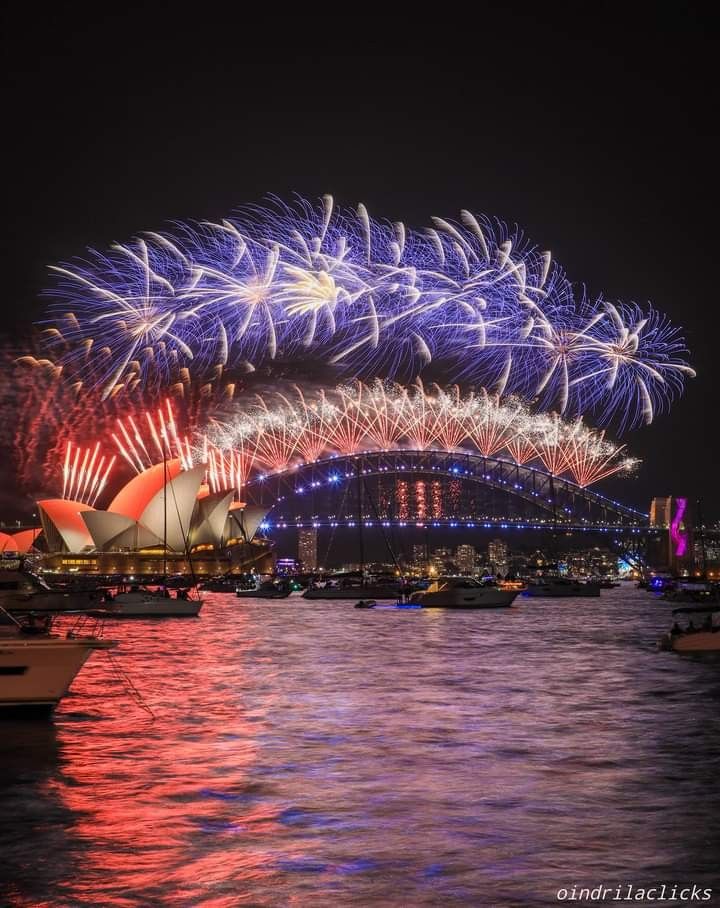 fireworks light up the sky over sydney harbour