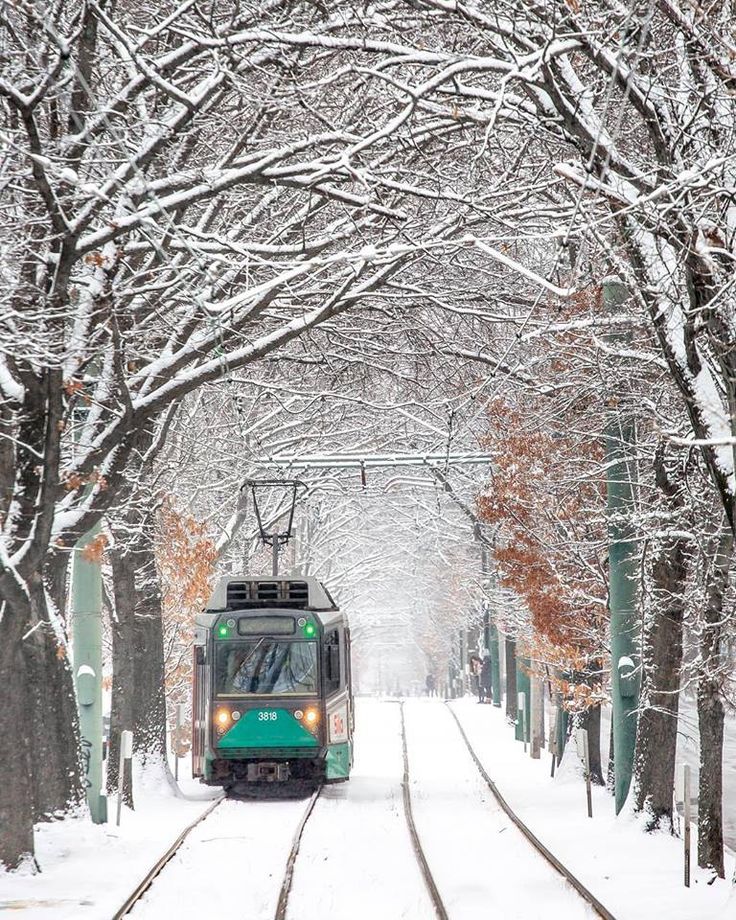 a green train traveling down tracks next to trees covered in snow on a snowy day