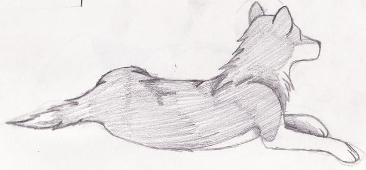 a pencil drawing of a dog laying down