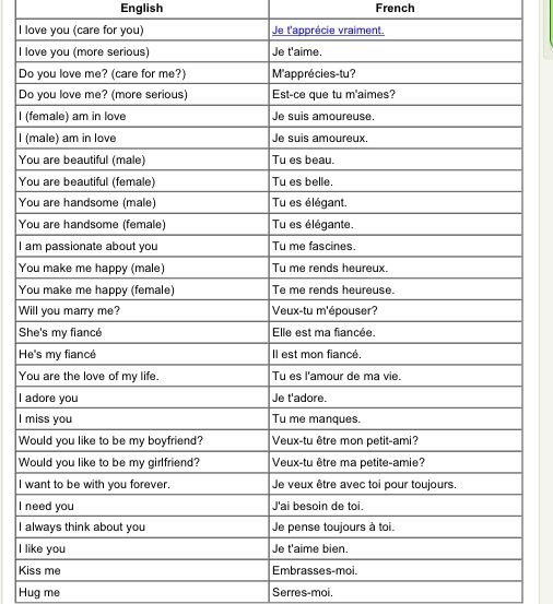 two different types of english and french words with the same language in each word,