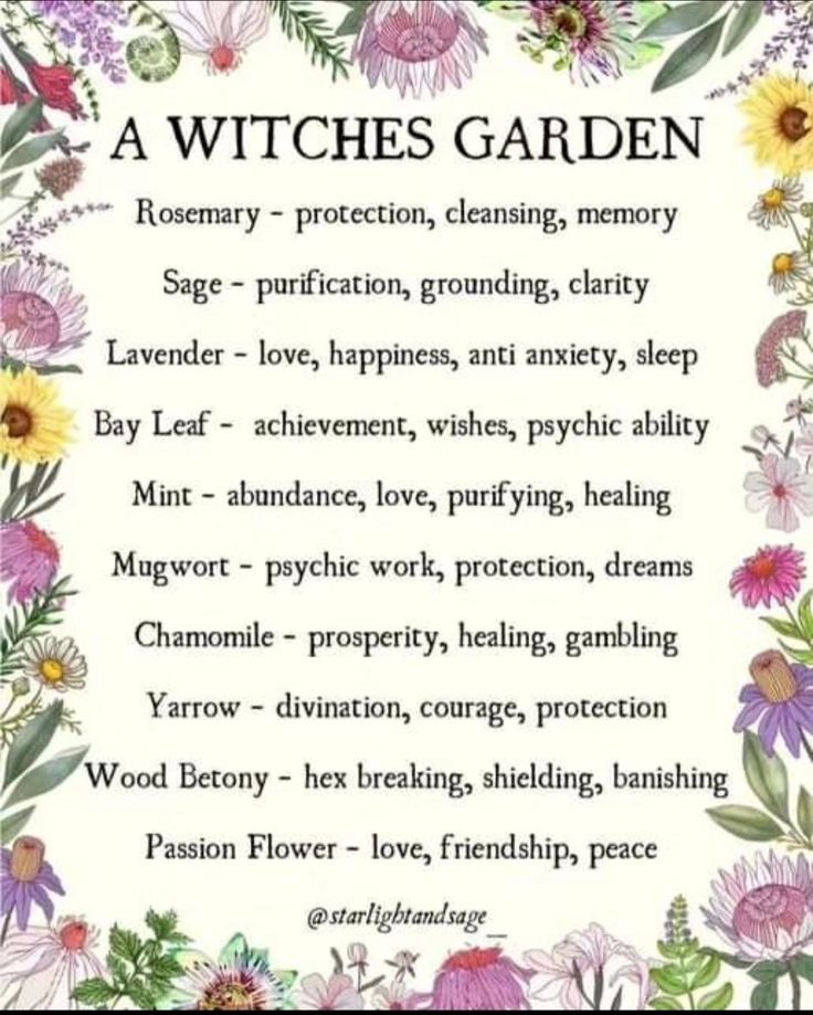 Witchy Herbs To Grow Easy 30 day return policy Wicca Herbs Charts, Herbs And Witchcraft, Dried Flowers Witchcraft Meaning, Garden Magic Aesthetic, Herbs For Strength Spell, Witch Healing Spell, Witchy Herbs To Grow, A Witches Garden, Plants For Witchcraft