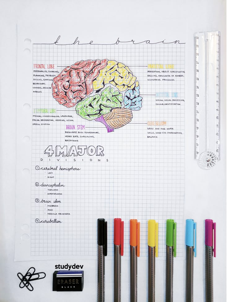 a white board with markers and pens on it next to a drawing book that has a diagram of the human brain