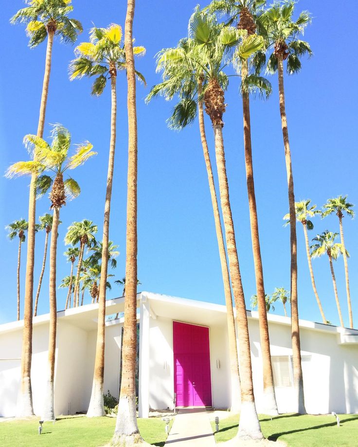 a pink door sits between palm trees in front of a white building