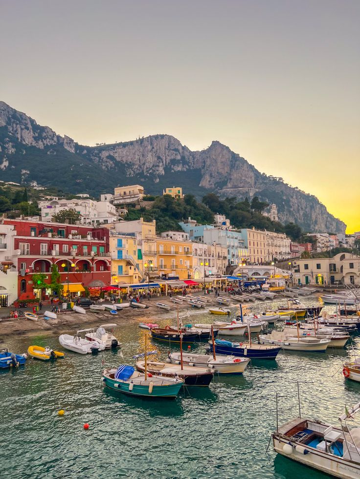 many boats are docked in the water near some buildings and mountain range behind them at sunset