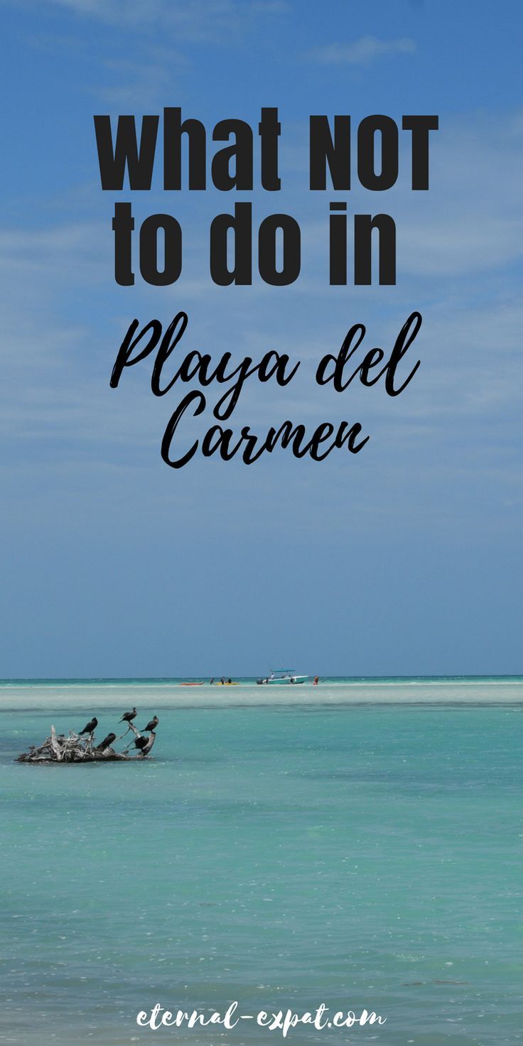 the ocean with text that reads what not to do in playa del carne