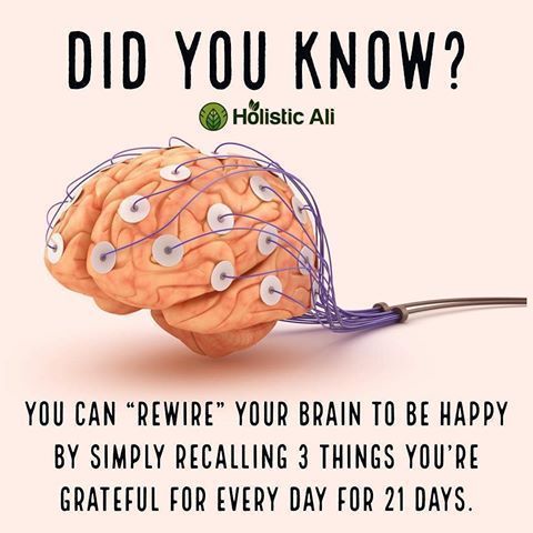 Natalie Williams, Human Brain, Health Facts, Healthy Mind, Brain Health, Emotional Health, Health Remedies, Interesting Facts, Healthy Tips