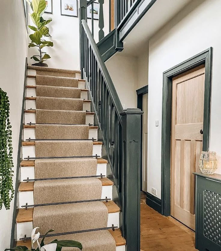 a staircase with carpeted steps leading up to a door and potted plant on the side