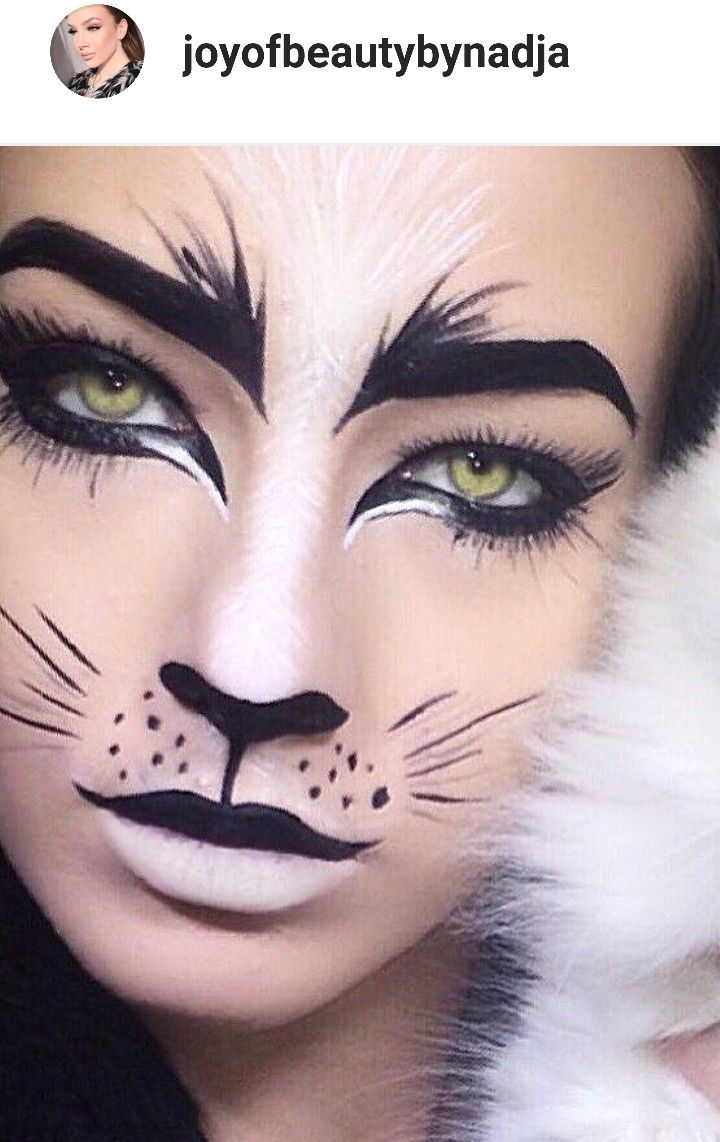 a woman with black and white cat makeup on her face