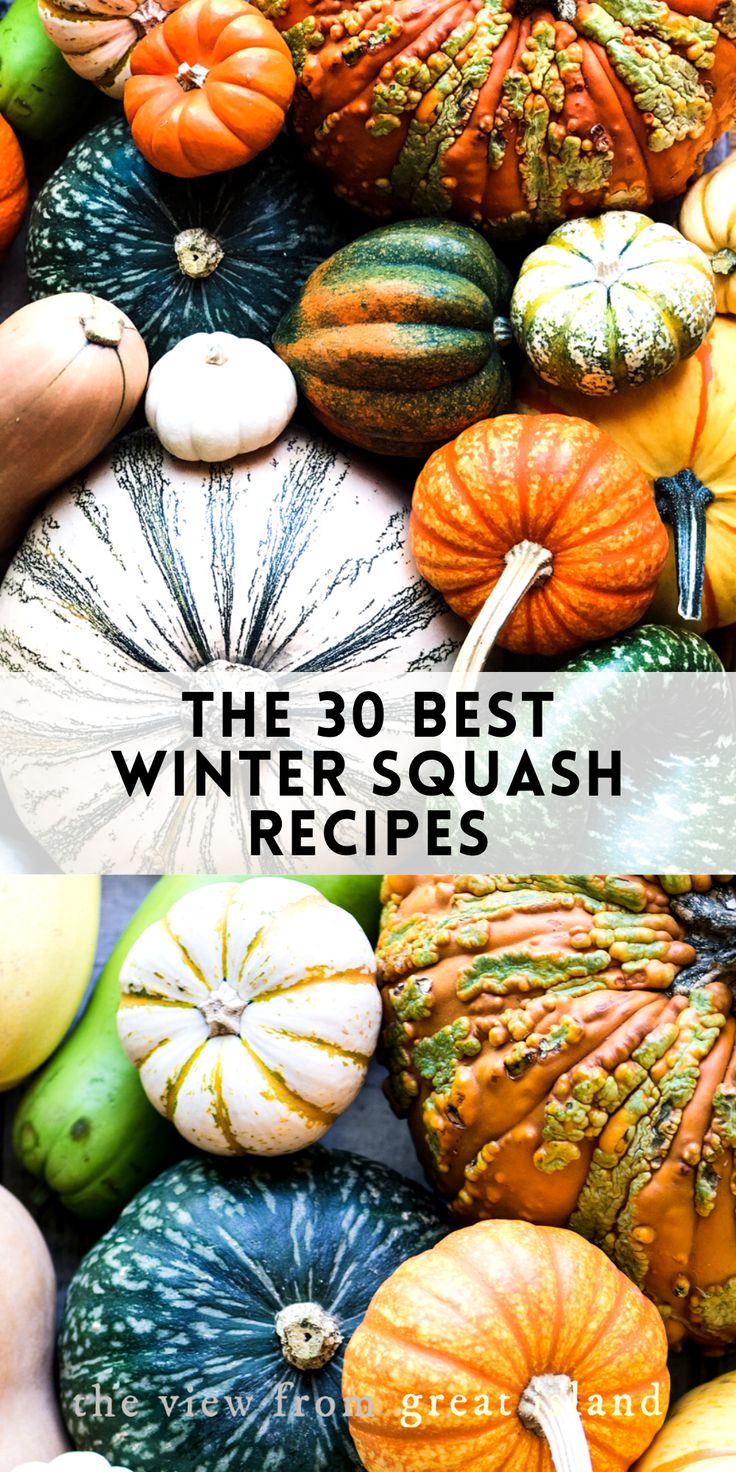 the 30 best winter squash recipes and how to use them in your garden or home