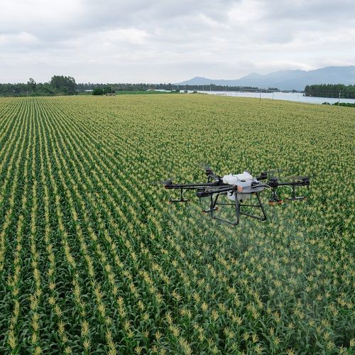 a large field with a small plane flying over it in the middle of it's flight