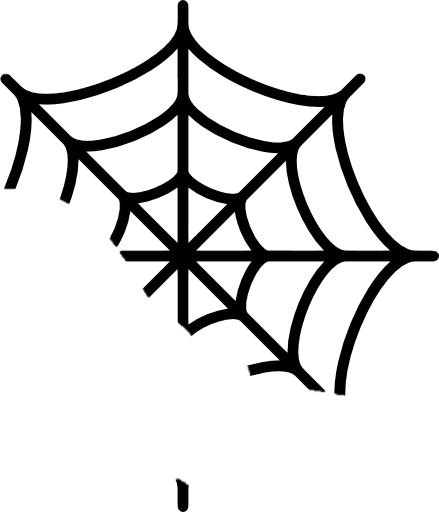 a spider web on a white background