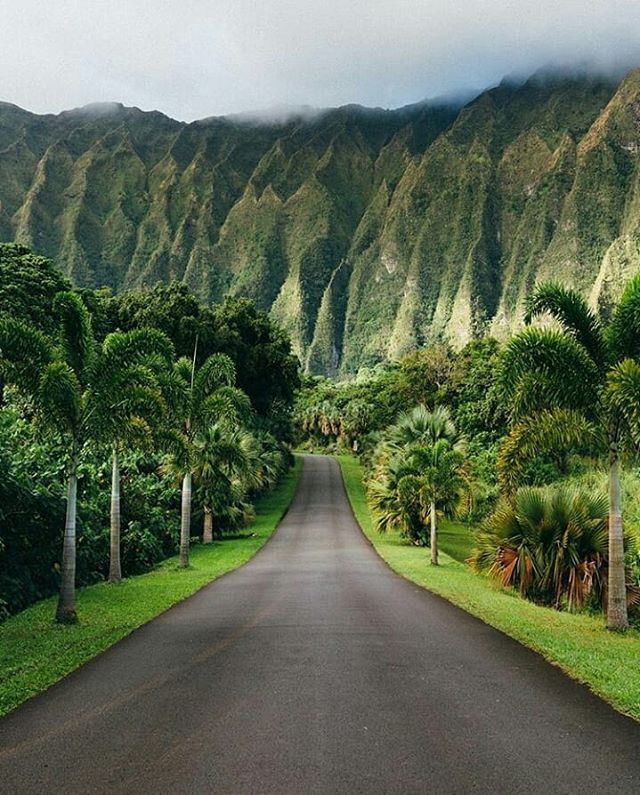 an empty road surrounded by lush green mountains