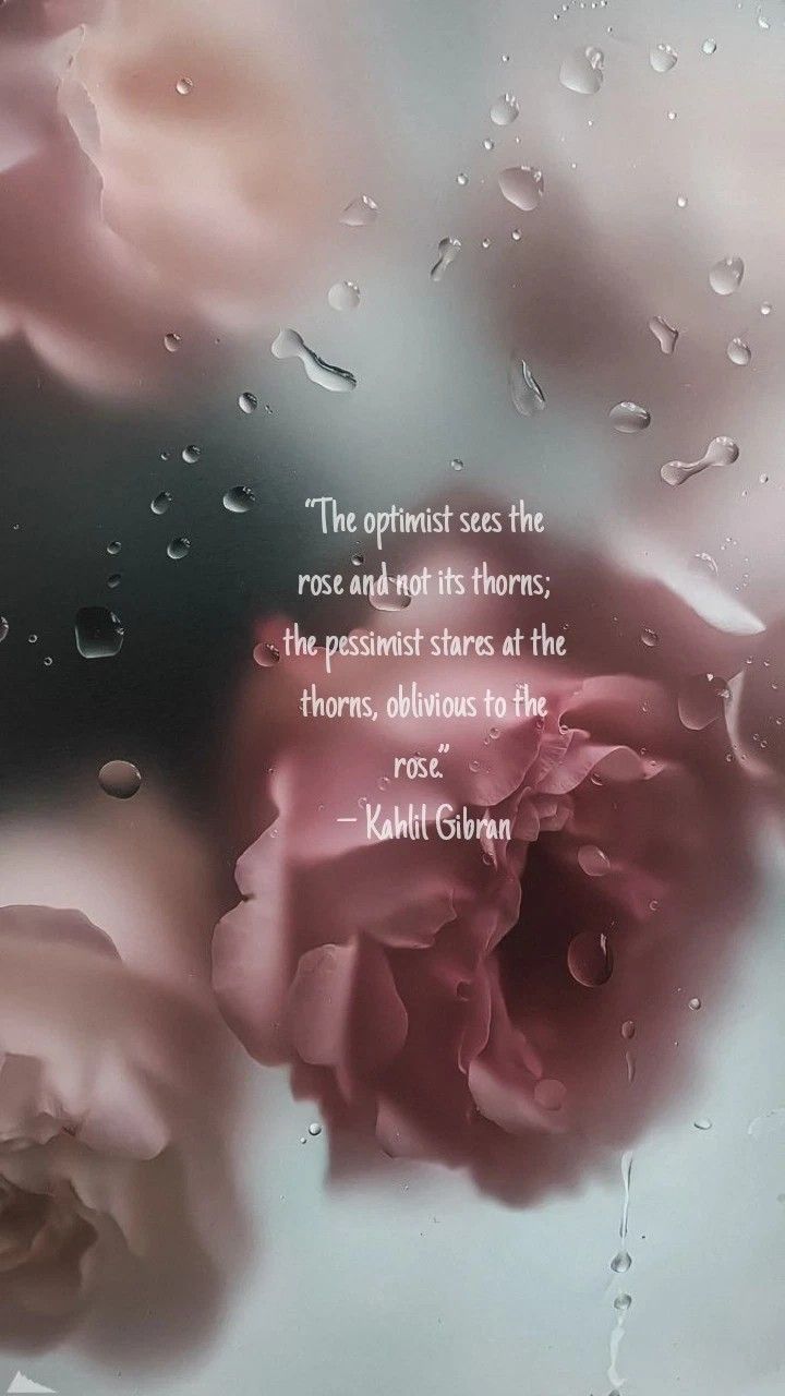 some pink roses with water drops on them and a quote about the rose and its thorns